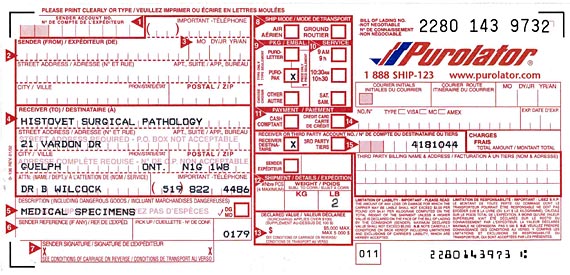 purolator tracking