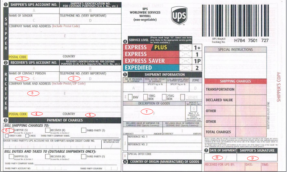ups tracking